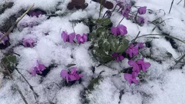 Bolu ve Kocaeli'de Kar Yağışı Etkili