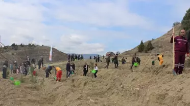 Boyabat'ta Orman Haftası Fidan Dikim Etkinliği
