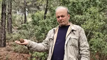 Kuzugöbeği Mantarlarında Sezon Başladı