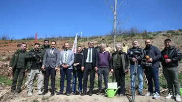 Bursa'da Yangın Sonrası Fidan Dikimi