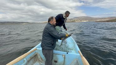 Çekerek Barajı'nda Su Seviyesi İki Kat Arttı
