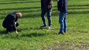 Çorum'da Hububat Alanlarında Kontroller Devam Ediyor