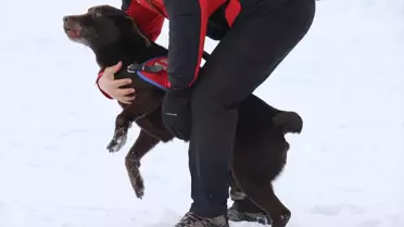 Davraz'da Çığda Kurtarma Eğitimi