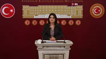 Koçyiğit'ten Yasal Düzenleme Çağrısı