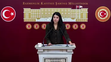 DEM Parti Milletvekilleri Meclis'te Fuhuş İddiasını ve Milli Parklar Kanunu'nu Eleştirdi
