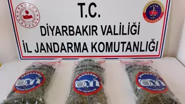 Diyarbakır'da Uyuşturucu Operasyonu