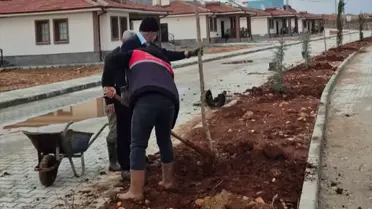 Polat Mahallesi'nde Peyzaj Çalışmaları Devam Ediyor