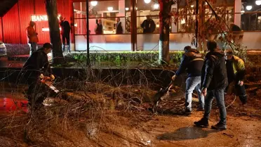 Edirne'de Fırtına Ağaçları Devrildi