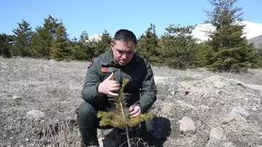 Erciyes'te 7 Milyon Fidan Dikildi