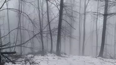 Erdek'te Kar Yağışı Etkili Oldu