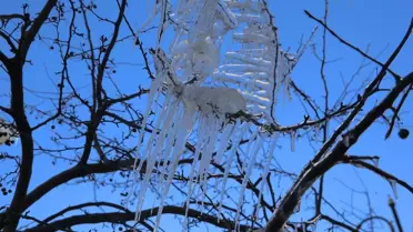 Doğu'da Dondurucu Soğuklar Etkili