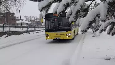 Doğu'da Kar ve Soğuk Hava Etkili