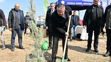 Eskişehir'de 20 Bin Fidan Dikildi