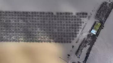 Gediz Nehri Taşarken Tarım Arazileri Sular Altında Kaldı