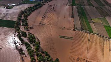 Gediz Nehri Taştı, Turgutlu'da Zarar Büyük