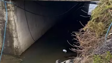 Tirebolu'da Kaza: 3 Ölü, 2 Yaralı