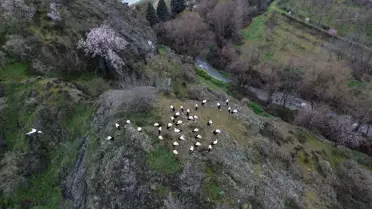 Bilecik'te Leyleklerin Mola Anları