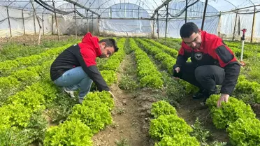 Göynücek'te Tarımsal Gözlem Yapıldı