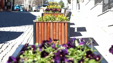 Güdül'de Çiçek Dikimi Devam Ediyor