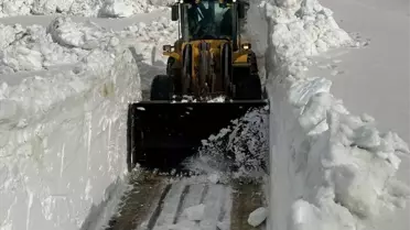 Şemdinli'de Karla Mücadele