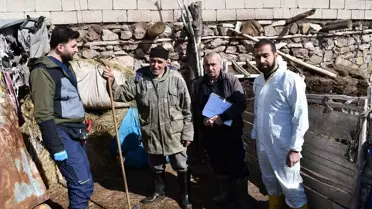 Hakkari'de Veterinerlerden Aşılama Çalışmaları