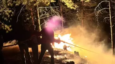 Dörtyol'da Orman Yangını Kontrol Altına Alındı