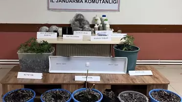 Uyuşturucu Operasyonu: 1 Tutuklama