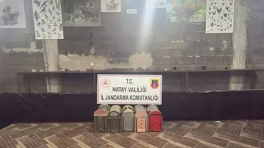 Dörtyol'da Horoz Dövüşüne 76 Kişiye Cezalı Operasyon