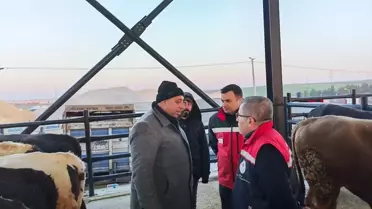 Havsa Canlı Hayvan Pazarı Denetlendi