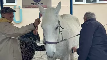 AYBÜ Huzurevi Sakinlerine Hippoterapi Etkinliği