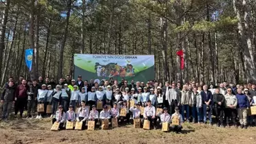 İhsangazi'de Ormancılık Günü Etkinliği