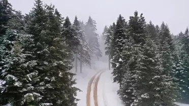 Kastamonu'da Sis Etkili Oldu