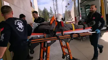 İnegöl'de Ağaçtan Düşme Kazası