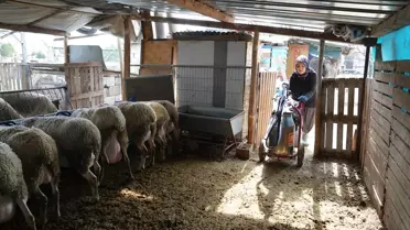 Hayvancılıkla Başarıya Ulaşan Nurcan Göçmen