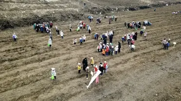 Karabük'te 2.026 Fidan Dikildi