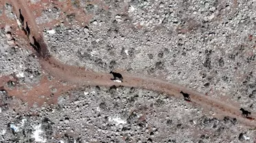 Yılkı Atları Karacadağ'da Görüntülendi