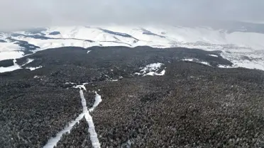 Sarıkamış'ta Kış Manzarası