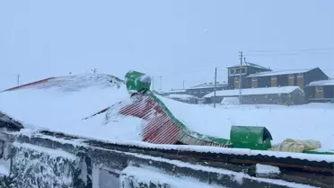 Kars'ta Ahır Çöktü, 4 Hayvan Telef Oldu