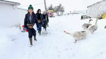 Kars'ta Kadın Veterinerlerin Özverili Aşı Çalışmaları