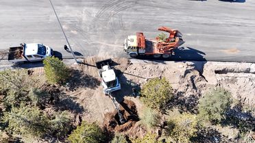 Kayseri'de Ağaçlar Koruma Altında