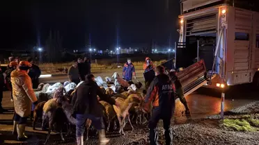 Kayseri'de Taşkın Riski: 200 Hayvan Tahliye Edildi