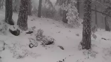 Kazdağları'nda Kar Yağışı Etkili