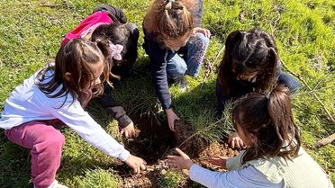 Öğrenciler Fidan Dikerek Orman Haftası'nı Kutladı