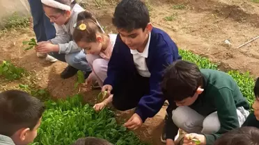 Öğrenciler Serada Üretim Yapıyor