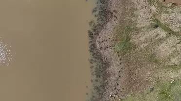 Taşlık Göleti'nde Su Seviyesi Arttı