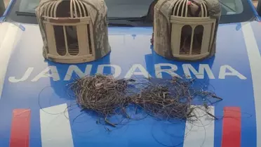 Kırşehir'de Tuzakla Keklik Avına Operasyon