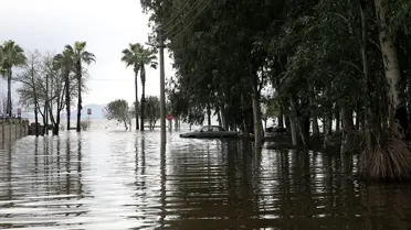 Köyceğiz Gölü'nde Su Baskınları Artıyor