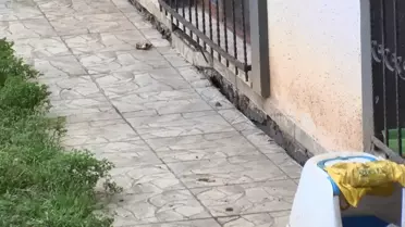 Küçükçekmece'de İnşaatta Duvar Yıkıldı