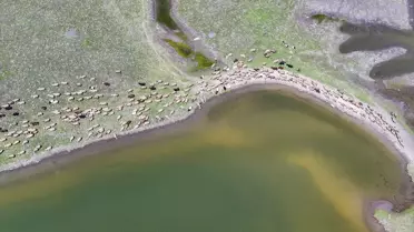 Devegeçidi Baraj Gölü Suya Kavuştu