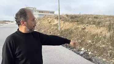 Kütahya'da Çocuğa Sahipsiz Köpek Saldırısı